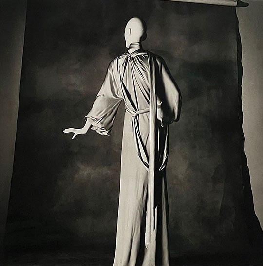 Irving PENN, Vionnet Long Robe
1974, Rives paper on aluminum, platinum-palladium